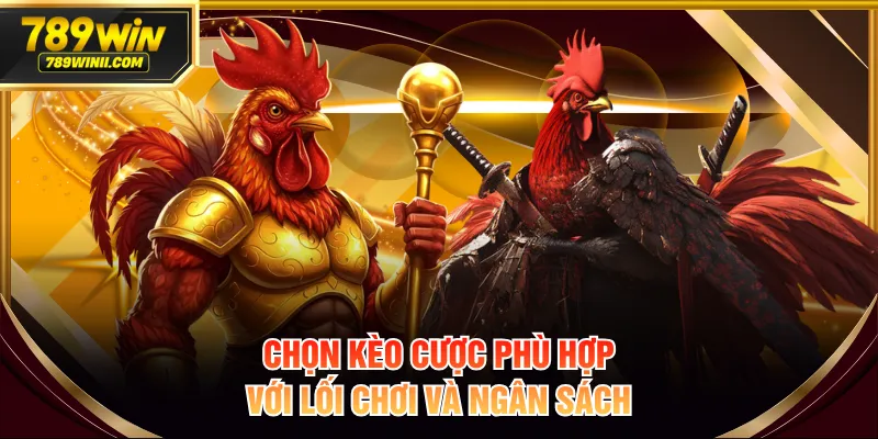 Chọn kèo cược phù hợp với lối chơi và ngân sách